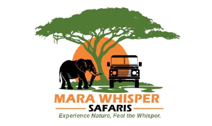 Mara Whispers Safaris